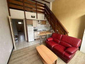 Appartement Quais de Grenoble
